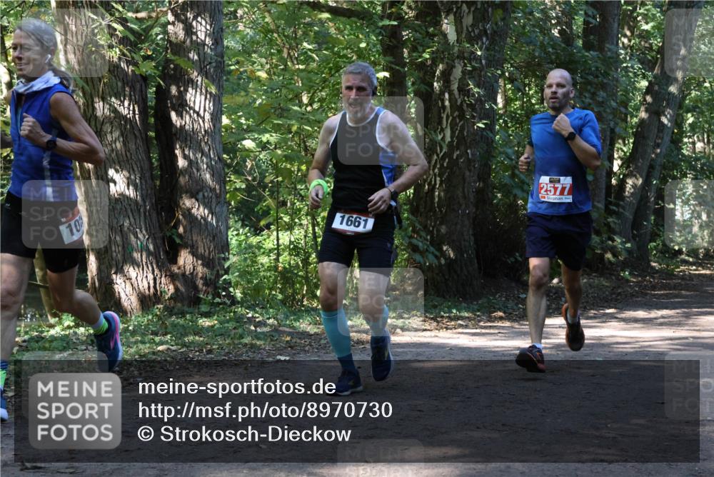 28.09.2025 - 33. Volkslauf durch das schöne Alstertal Strokosch-Dieckow http://msf.ph/oto/8970730 28.09.2025 11:57:55 Laufen 10, 1661, 2577 meine-sportfotos.de