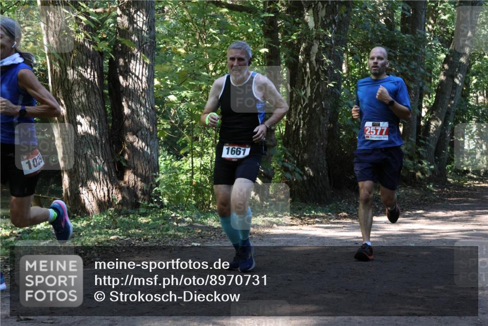 28.09.2025 - 33. Volkslauf durch das schöne Alstertal Strokosch-Dieckow http://msf.ph/oto/8970731 28.09.2025 11:57:56 Laufen 10, 1661, 2577 meine-sportfotos.de