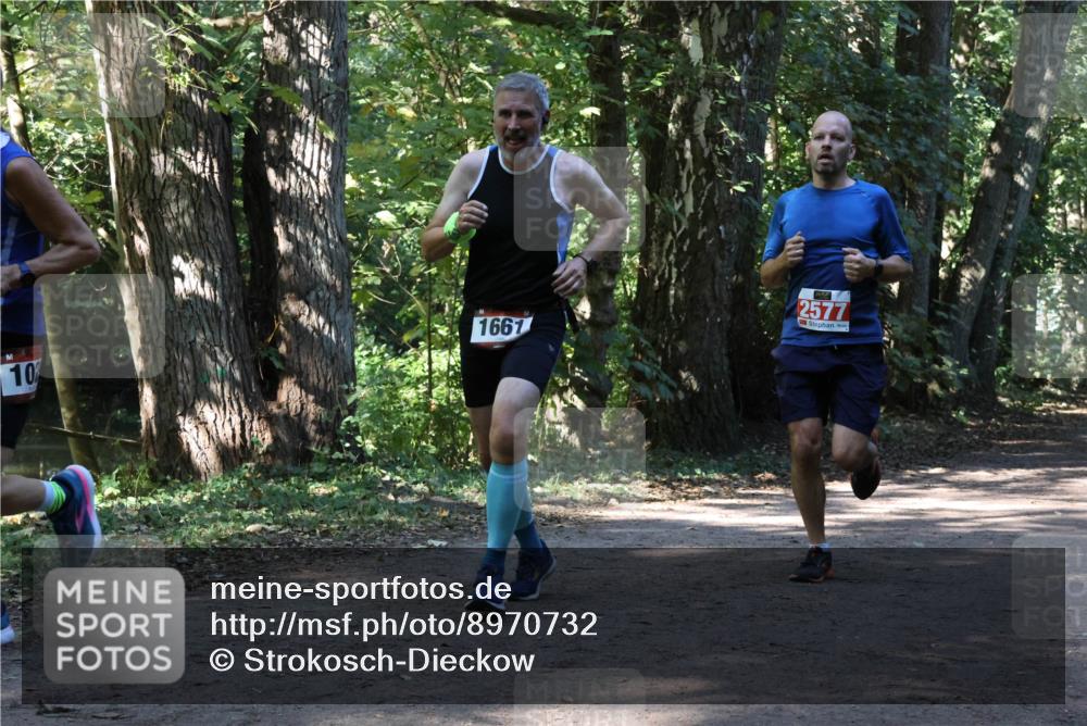 28.09.2025 - 33. Volkslauf durch das schöne Alstertal Strokosch-Dieckow http://msf.ph/oto/8970732 28.09.2025 11:57:56 Laufen 10, 1667, 2577 meine-sportfotos.de
