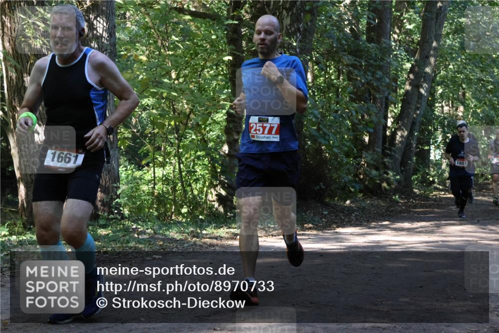 28.09.2025 - 33. Volkslauf durch das schöne Alstertal Strokosch-Dieckow http://msf.ph/oto/8970733 28.09.2025 11:57:56 Laufen 1661, 2577, 1651 meine-sportfotos.de