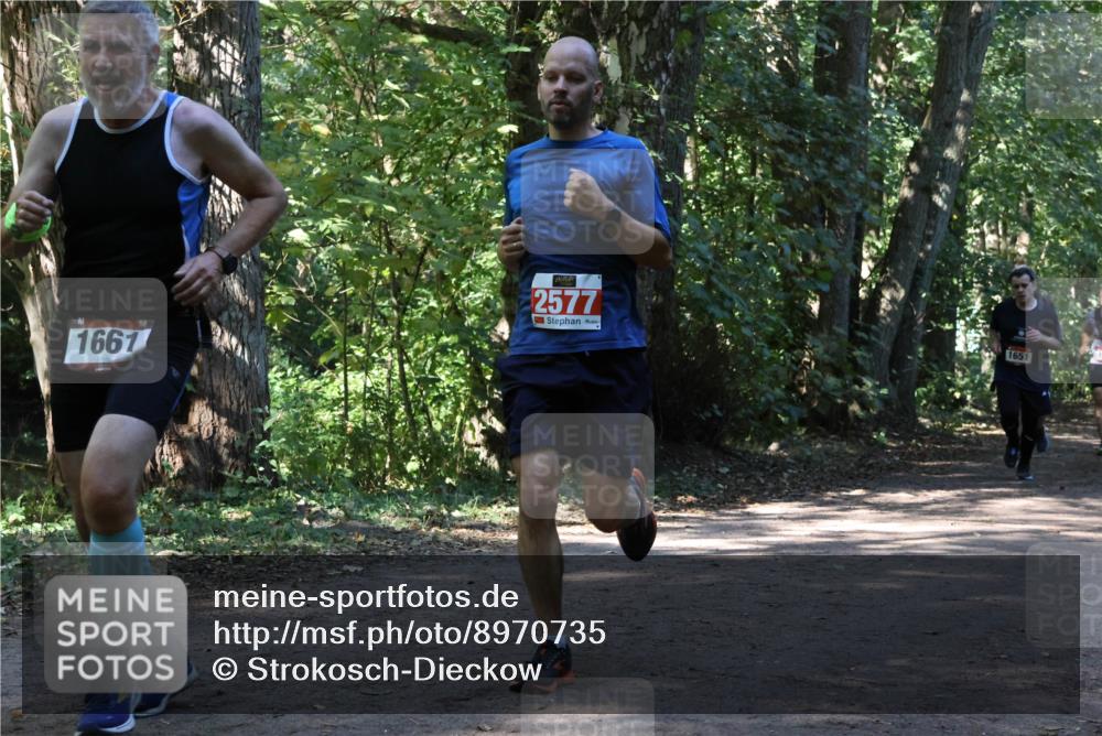 28.09.2025 - 33. Volkslauf durch das schöne Alstertal Strokosch-Dieckow http://msf.ph/oto/8970735 28.09.2025 11:57:56 Laufen 1667, 2577, 1651 meine-sportfotos.de