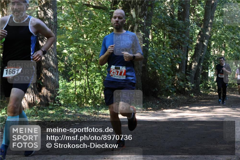 28.09.2025 - 33. Volkslauf durch das schöne Alstertal Strokosch-Dieckow http://msf.ph/oto/8970736 28.09.2025 11:57:56 Laufen 1667, 2577, 1651 meine-sportfotos.de
