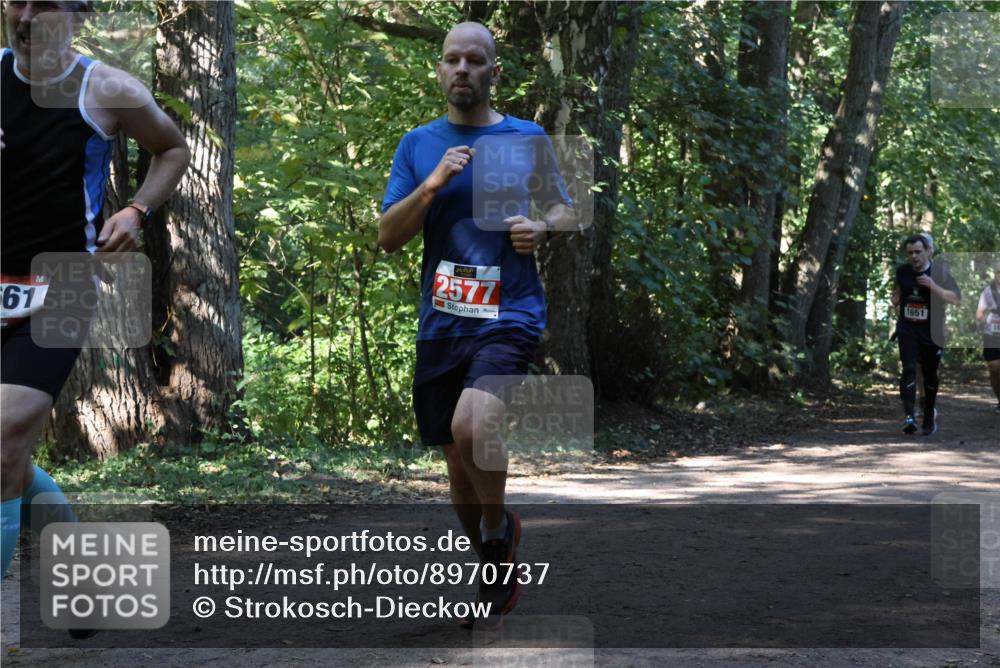 28.09.2025 - 33. Volkslauf durch das schöne Alstertal Strokosch-Dieckow http://msf.ph/oto/8970737 28.09.2025 11:57:56 Laufen 61, 2577, 1651 meine-sportfotos.de