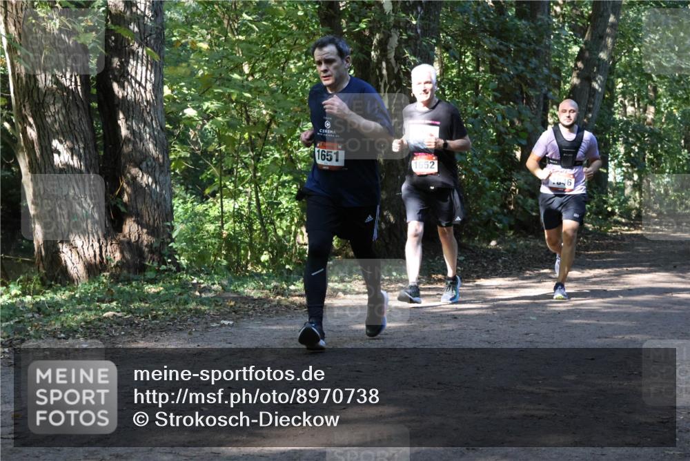 28.09.2025 - 33. Volkslauf durch das schöne Alstertal Strokosch-Dieckow http://msf.ph/oto/8970738 28.09.2025 11:58:00 Laufen 1651, 1652 meine-sportfotos.de