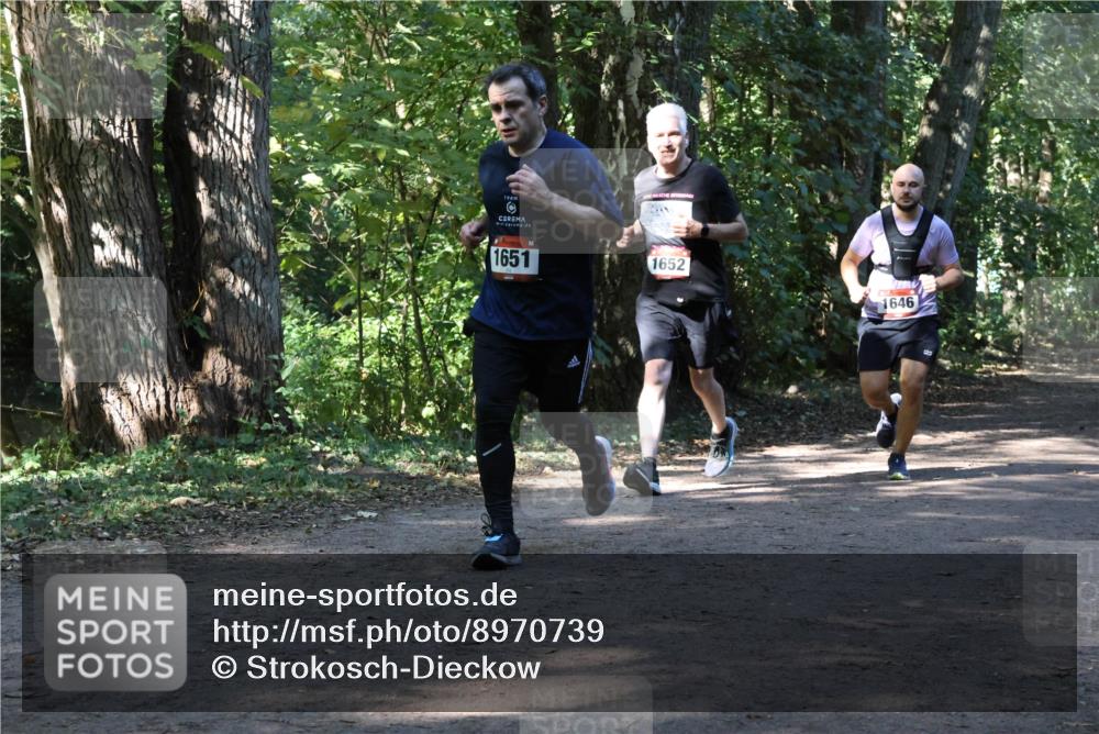 28.09.2025 - 33. Volkslauf durch das schöne Alstertal Strokosch-Dieckow http://msf.ph/oto/8970739 28.09.2025 11:58:00 Laufen 1651, 1652, 1646 meine-sportfotos.de