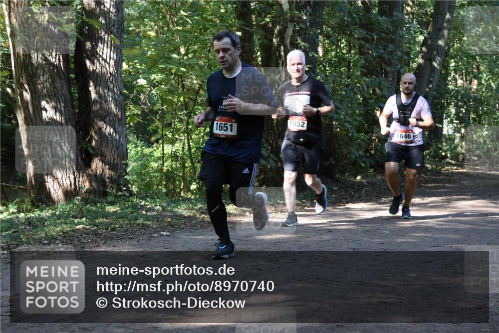 28.09.2025 - 33. Volkslauf durch das schöne Alstertal Strokosch-Dieckow http://msf.ph/oto/8970740 28.09.2025 11:58:00 Laufen 1651, 1652, 1646 meine-sportfotos.de