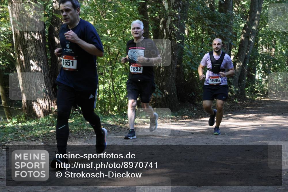 28.09.2025 - 33. Volkslauf durch das schöne Alstertal Strokosch-Dieckow http://msf.ph/oto/8970741 28.09.2025 11:58:01 Laufen 1651, 1652, 1646, 220 meine-sportfotos.de
