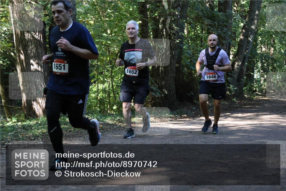 28.09.2025 - 33. Volkslauf durch das schöne Alstertal Strokosch-Dieckow http://msf.ph/oto/8970742 28.09.2025 11:58:01 Laufen 1651, 1652, 1646 meine-sportfotos.de