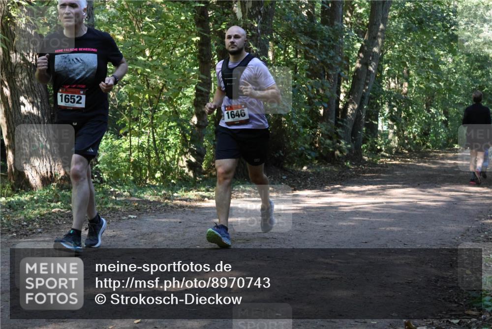 28.09.2025 - 33. Volkslauf durch das schöne Alstertal Strokosch-Dieckow http://msf.ph/oto/8970743 28.09.2025 11:58:02 Laufen 1652, 1646 meine-sportfotos.de
