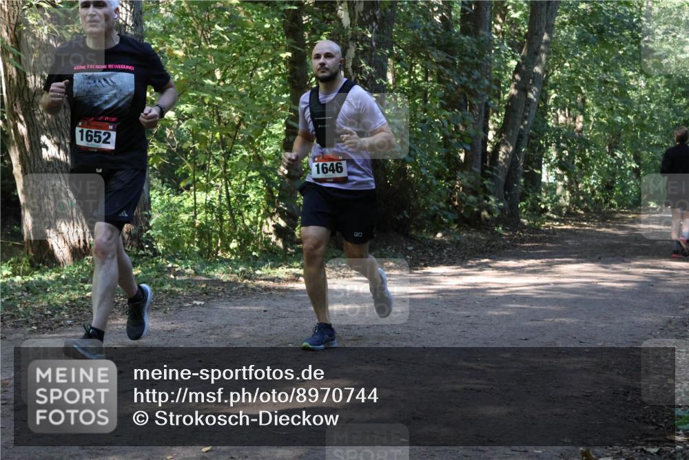 28.09.2025 - 33. Volkslauf durch das schöne Alstertal Strokosch-Dieckow http://msf.ph/oto/8970744 28.09.2025 11:58:02 Laufen 1652, 1646 meine-sportfotos.de