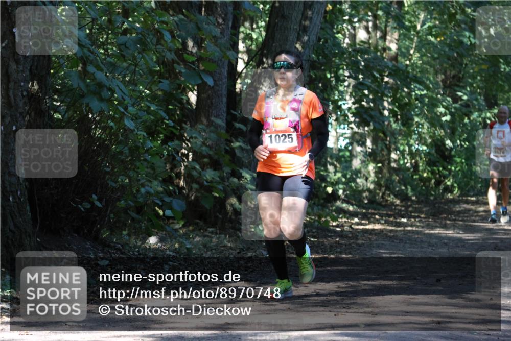 28.09.2025 - 33. Volkslauf durch das schöne Alstertal Strokosch-Dieckow http://msf.ph/oto/8970748 28.09.2025 11:58:31 Laufen 1025, 0 meine-sportfotos.de