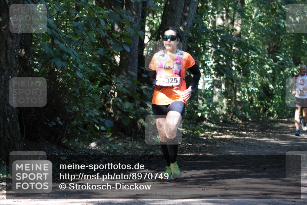 28.09.2025 - 33. Volkslauf durch das schöne Alstertal Strokosch-Dieckow http://msf.ph/oto/8970749 28.09.2025 11:58:31 Laufen 025 meine-sportfotos.de