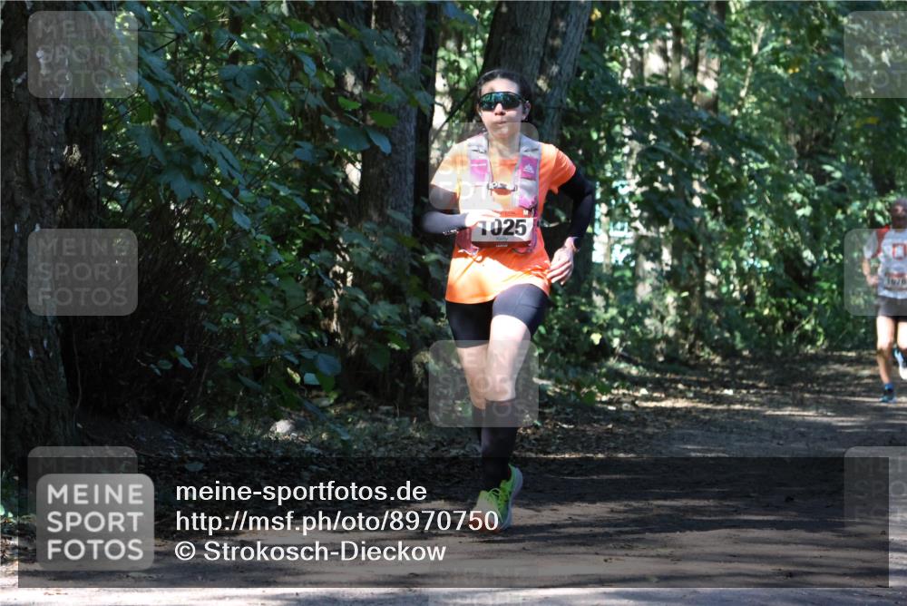 28.09.2025 - 33. Volkslauf durch das schöne Alstertal Strokosch-Dieckow http://msf.ph/oto/8970750 28.09.2025 11:58:31 Laufen 1025, 1676 meine-sportfotos.de