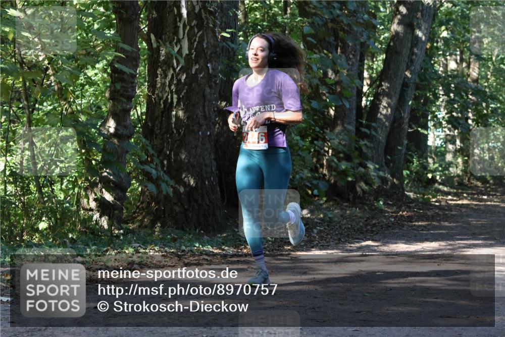 28.09.2025 - 33. Volkslauf durch das schöne Alstertal Strokosch-Dieckow http://msf.ph/oto/8970757 28.09.2025 11:58:58 Laufen  meine-sportfotos.de