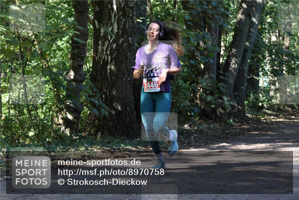 28.09.2025 - 33. Volkslauf durch das schöne Alstertal Strokosch-Dieckow http://msf.ph/oto/8970758 28.09.2025 11:58:58 Laufen 2446 meine-sportfotos.de