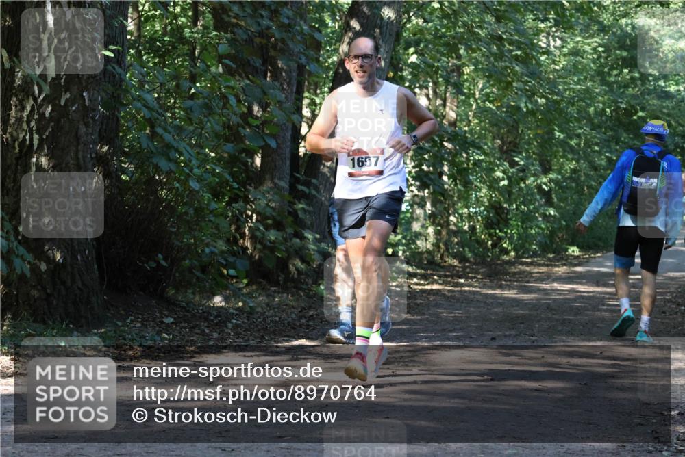 28.09.2025 - 33. Volkslauf durch das schöne Alstertal Strokosch-Dieckow http://msf.ph/oto/8970764 28.09.2025 11:59:05 Laufen 1657, 703 meine-sportfotos.de