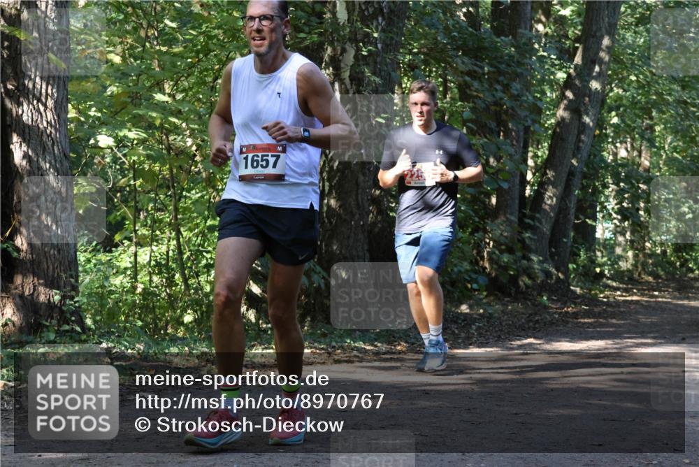 28.09.2025 - 33. Volkslauf durch das schöne Alstertal Strokosch-Dieckow http://msf.ph/oto/8970767 28.09.2025 11:59:07 Laufen 7, 1657 meine-sportfotos.de
