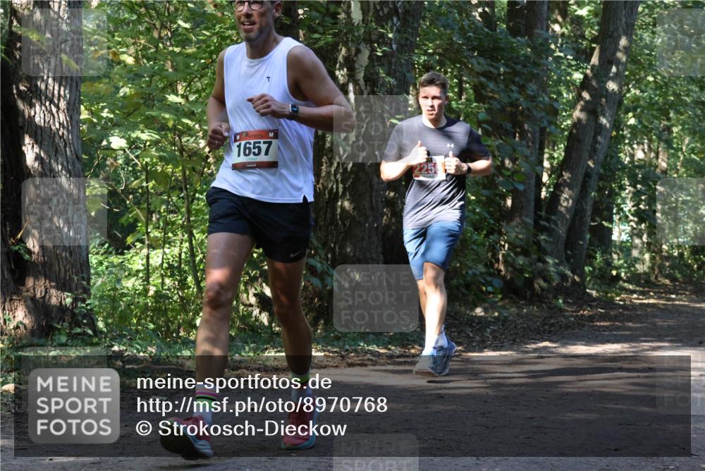 28.09.2025 - 33. Volkslauf durch das schöne Alstertal Strokosch-Dieckow http://msf.ph/oto/8970768 28.09.2025 11:59:07 Laufen 7, 1657 meine-sportfotos.de