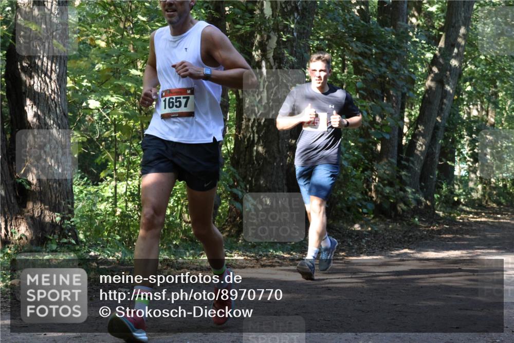 28.09.2025 - 33. Volkslauf durch das schöne Alstertal Strokosch-Dieckow http://msf.ph/oto/8970770 28.09.2025 11:59:07 Laufen 1657 meine-sportfotos.de