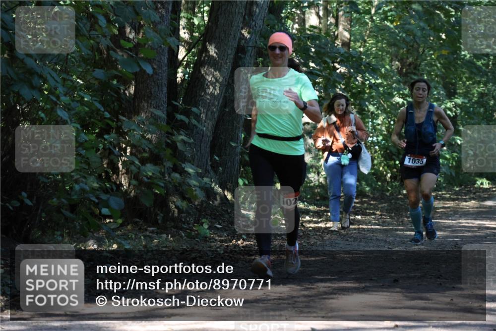 28.09.2025 - 33. Volkslauf durch das schöne Alstertal Strokosch-Dieckow http://msf.ph/oto/8970771 28.09.2025 11:59:39 Laufen 102, 1035 meine-sportfotos.de