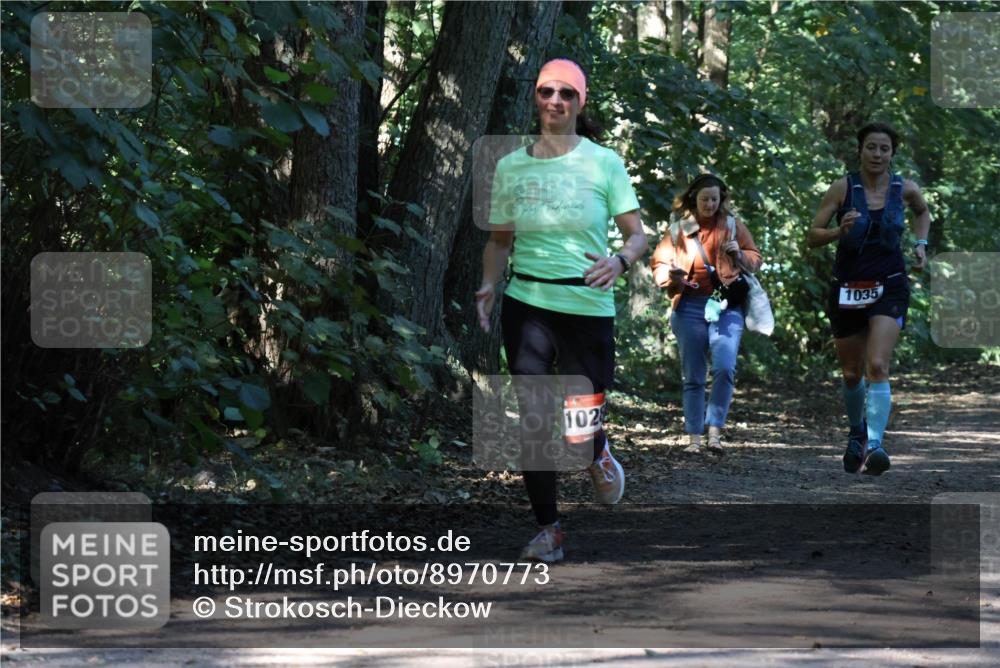 28.09.2025 - 33. Volkslauf durch das schöne Alstertal Strokosch-Dieckow http://msf.ph/oto/8970773 28.09.2025 11:59:39 Laufen 102, 1035 meine-sportfotos.de