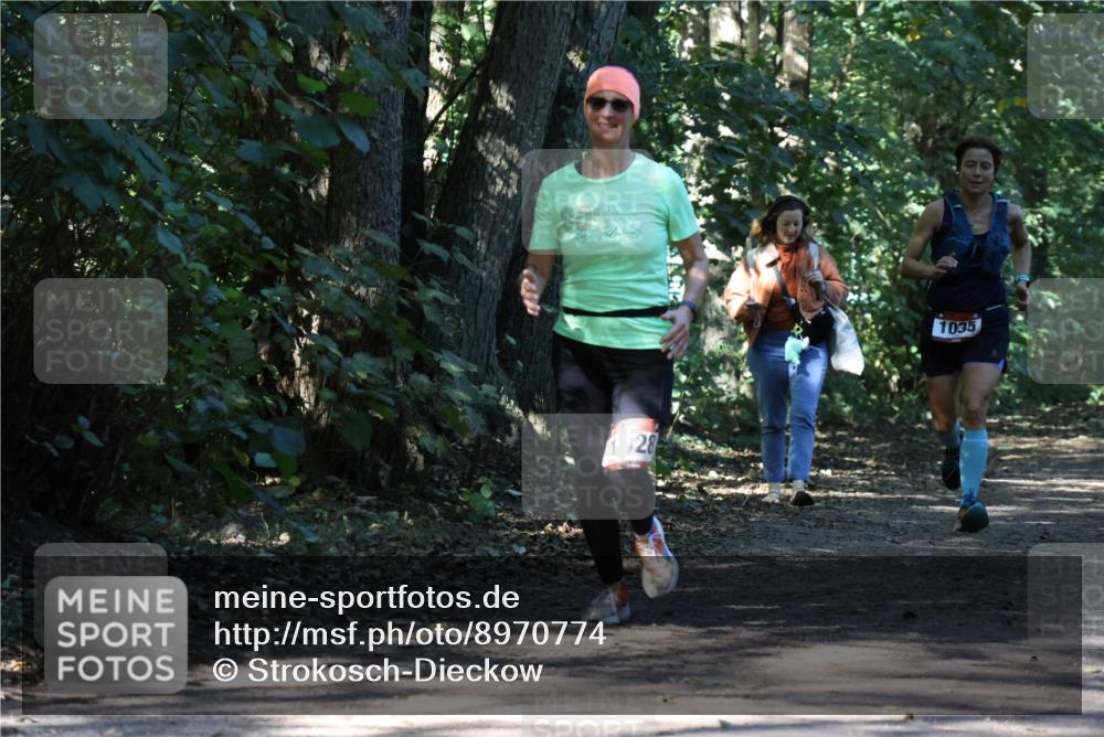 28.09.2025 - 33. Volkslauf durch das schöne Alstertal Strokosch-Dieckow http://msf.ph/oto/8970774 28.09.2025 11:59:39 Laufen 28, 1035 meine-sportfotos.de