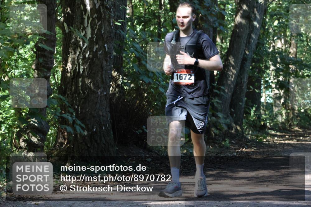 28.09.2025 - 33. Volkslauf durch das schöne Alstertal Strokosch-Dieckow http://msf.ph/oto/8970782 28.09.2025 12:00:00 Laufen 1672 meine-sportfotos.de