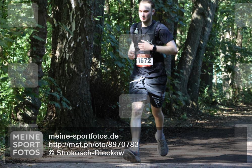 28.09.2025 - 33. Volkslauf durch das schöne Alstertal Strokosch-Dieckow http://msf.ph/oto/8970783 28.09.2025 12:00:00 Laufen 1672 meine-sportfotos.de
