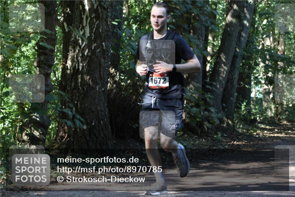 28.09.2025 - 33. Volkslauf durch das schöne Alstertal Strokosch-Dieckow http://msf.ph/oto/8970785 28.09.2025 12:00:01 Laufen 1672 meine-sportfotos.de
