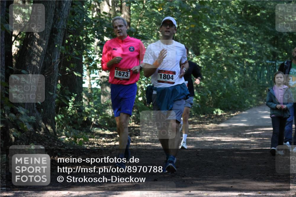 28.09.2025 - 33. Volkslauf durch das schöne Alstertal Strokosch-Dieckow http://msf.ph/oto/8970788 28.09.2025 12:00:08 Laufen 1673, 1804 meine-sportfotos.de