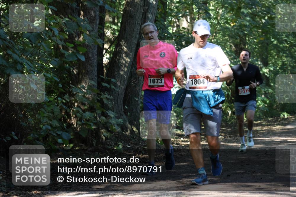 28.09.2025 - 33. Volkslauf durch das schöne Alstertal Strokosch-Dieckow http://msf.ph/oto/8970791 28.09.2025 12:00:09 Laufen 1673, 1804, 2612 meine-sportfotos.de