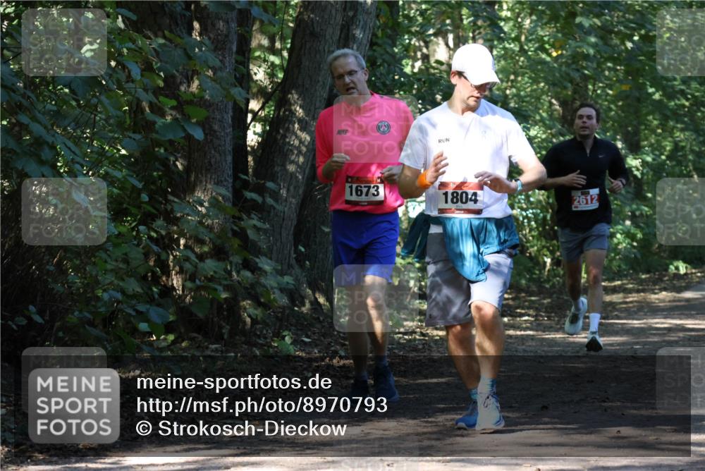 28.09.2025 - 33. Volkslauf durch das schöne Alstertal Strokosch-Dieckow http://msf.ph/oto/8970793 28.09.2025 12:00:09 Laufen 1673, 1804, 2612 meine-sportfotos.de