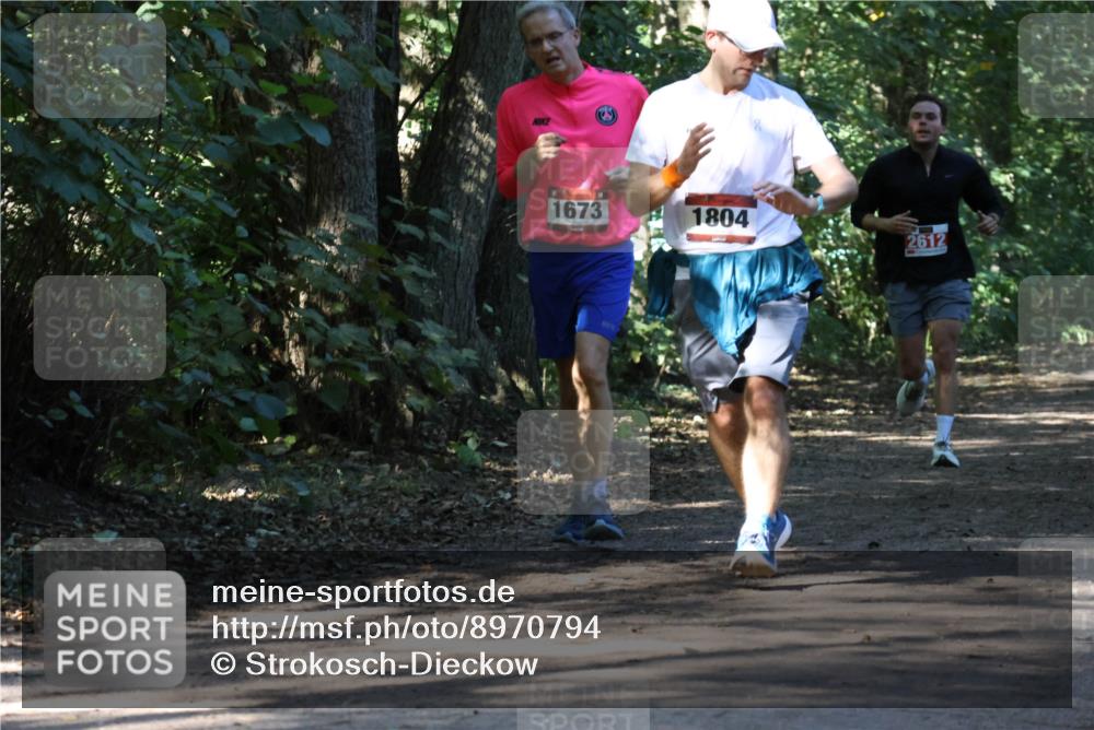 28.09.2025 - 33. Volkslauf durch das schöne Alstertal Strokosch-Dieckow http://msf.ph/oto/8970794 28.09.2025 12:00:09 Laufen 1673, 1804, 2612 meine-sportfotos.de