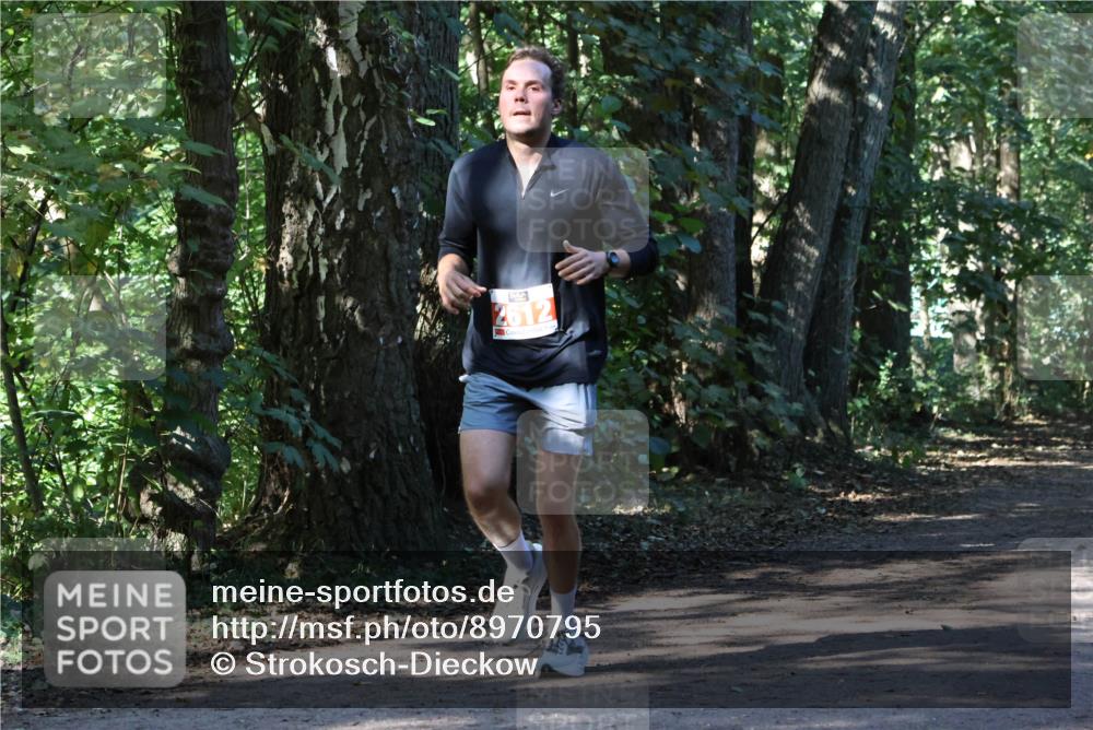 28.09.2025 - 33. Volkslauf durch das schöne Alstertal Strokosch-Dieckow http://msf.ph/oto/8970795 28.09.2025 12:00:13 Laufen 2612 meine-sportfotos.de