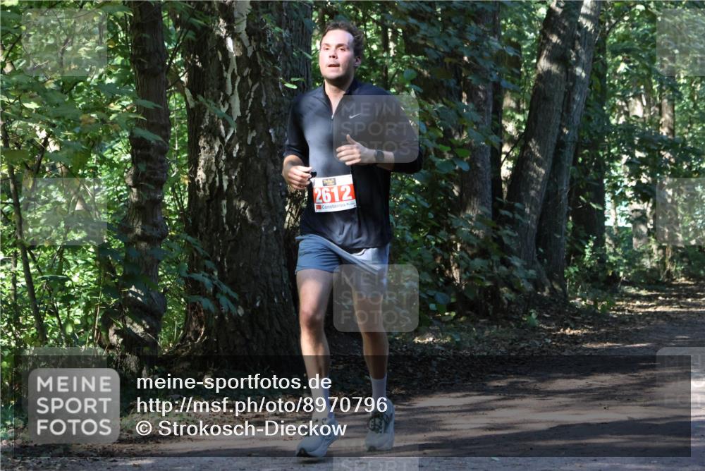 28.09.2025 - 33. Volkslauf durch das schöne Alstertal Strokosch-Dieckow http://msf.ph/oto/8970796 28.09.2025 12:00:14 Laufen 2612 meine-sportfotos.de