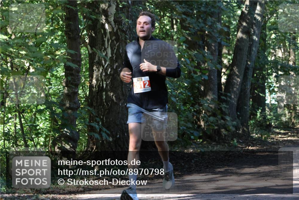 28.09.2025 - 33. Volkslauf durch das schöne Alstertal Strokosch-Dieckow http://msf.ph/oto/8970798 28.09.2025 12:00:14 Laufen 2612 meine-sportfotos.de
