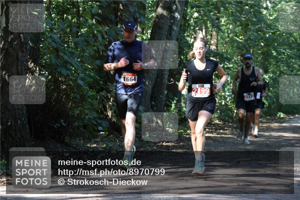 28.09.2025 - 33. Volkslauf durch das schöne Alstertal Strokosch-Dieckow http://msf.ph/oto/8970799 28.09.2025 12:00:30 Laufen 1664, 2199, 2213 meine-sportfotos.de