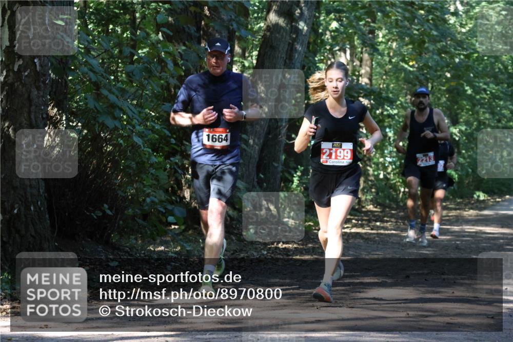 28.09.2025 - 33. Volkslauf durch das schöne Alstertal Strokosch-Dieckow http://msf.ph/oto/8970800 28.09.2025 12:00:30 Laufen 1664, 2199, 2213 meine-sportfotos.de
