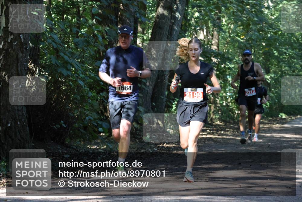 28.09.2025 - 33. Volkslauf durch das schöne Alstertal Strokosch-Dieckow http://msf.ph/oto/8970801 28.09.2025 12:00:30 Laufen 1664, 2199, 2213 meine-sportfotos.de