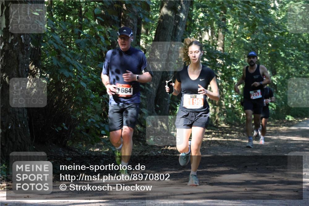 28.09.2025 - 33. Volkslauf durch das schöne Alstertal Strokosch-Dieckow http://msf.ph/oto/8970802 28.09.2025 12:00:30 Laufen 664, 2199, 2213 meine-sportfotos.de