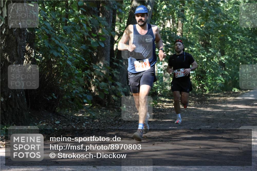 28.09.2025 - 33. Volkslauf durch das schöne Alstertal Strokosch-Dieckow http://msf.ph/oto/8970803 28.09.2025 12:00:33 Laufen 2213, 2292 meine-sportfotos.de