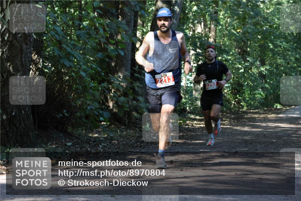 28.09.2025 - 33. Volkslauf durch das schöne Alstertal Strokosch-Dieckow http://msf.ph/oto/8970804 28.09.2025 12:00:33 Laufen 2213, 2292 meine-sportfotos.de