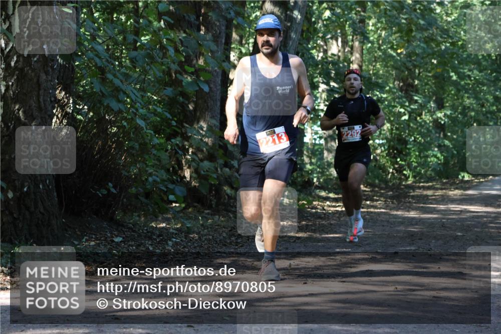 28.09.2025 - 33. Volkslauf durch das schöne Alstertal Strokosch-Dieckow http://msf.ph/oto/8970805 28.09.2025 12:00:33 Laufen 2213, 2292 meine-sportfotos.de