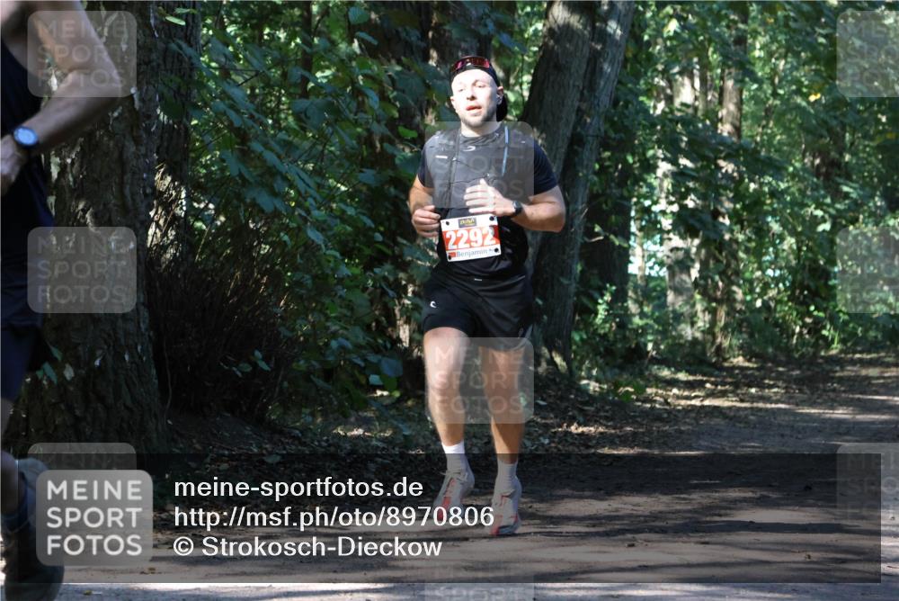 28.09.2025 - 33. Volkslauf durch das schöne Alstertal Strokosch-Dieckow http://msf.ph/oto/8970806 28.09.2025 12:00:35 Laufen 2292 meine-sportfotos.de