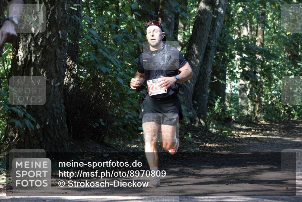 28.09.2025 - 33. Volkslauf durch das schöne Alstertal Strokosch-Dieckow http://msf.ph/oto/8970809 28.09.2025 12:00:35 Laufen 229 meine-sportfotos.de