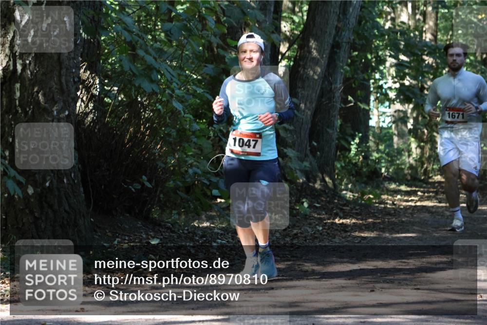 28.09.2025 - 33. Volkslauf durch das schöne Alstertal Strokosch-Dieckow http://msf.ph/oto/8970810 28.09.2025 12:00:54 Laufen 1047, 1671 meine-sportfotos.de