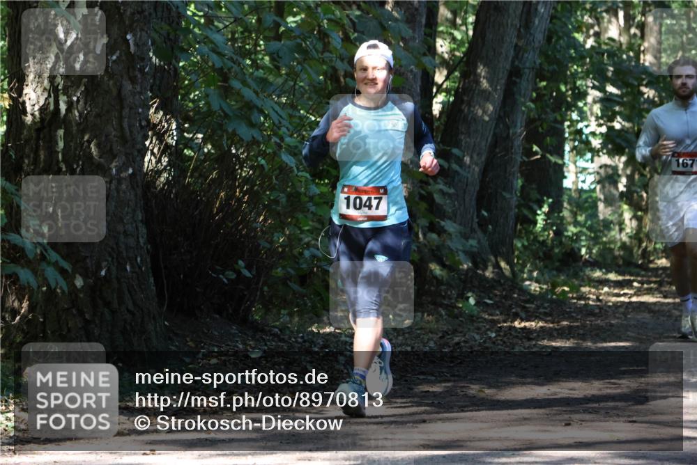 28.09.2025 - 33. Volkslauf durch das schöne Alstertal Strokosch-Dieckow http://msf.ph/oto/8970813 28.09.2025 12:00:54 Laufen 1047, 167 meine-sportfotos.de