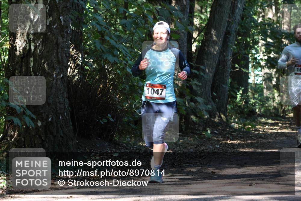 28.09.2025 - 33. Volkslauf durch das schöne Alstertal Strokosch-Dieckow http://msf.ph/oto/8970814 28.09.2025 12:00:54 Laufen 1047, 16 meine-sportfotos.de