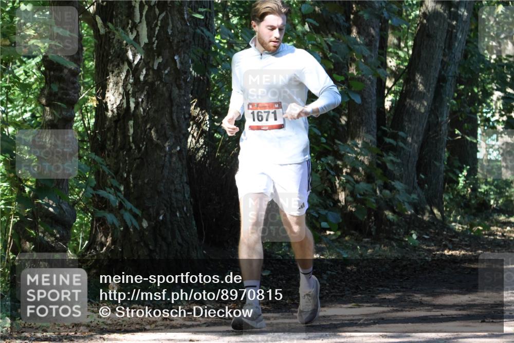 28.09.2025 - 33. Volkslauf durch das schöne Alstertal Strokosch-Dieckow http://msf.ph/oto/8970815 28.09.2025 12:00:57 Laufen 1671 meine-sportfotos.de