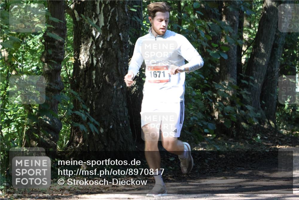 28.09.2025 - 33. Volkslauf durch das schöne Alstertal Strokosch-Dieckow http://msf.ph/oto/8970817 28.09.2025 12:00:58 Laufen 1671 meine-sportfotos.de